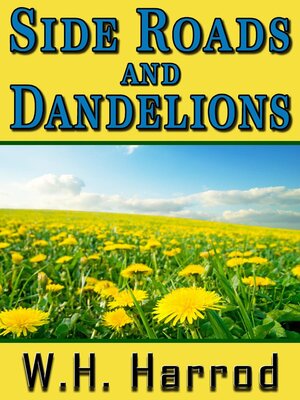 cover image of Side Roads and Dandelions